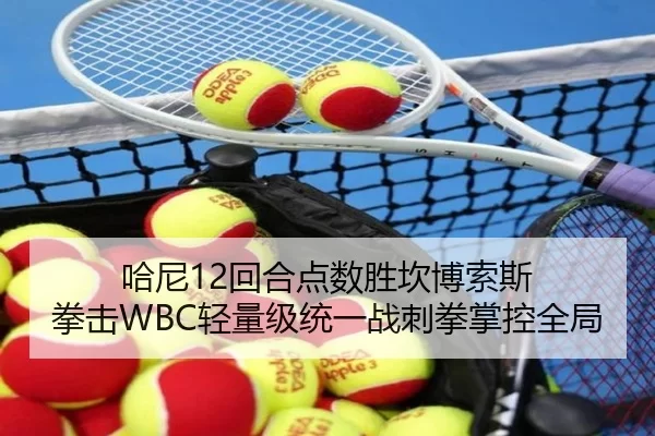 哈尼12回合点数胜坎博索斯 拳击WBC轻量级统一战刺拳掌控全局